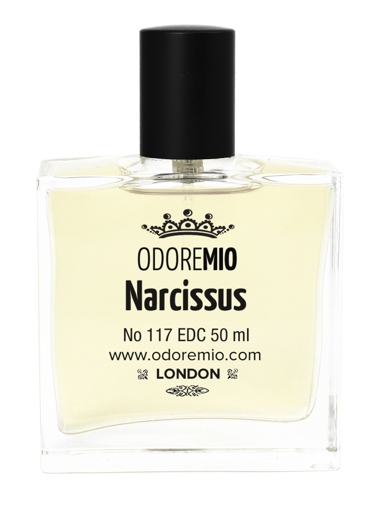 Narcissus