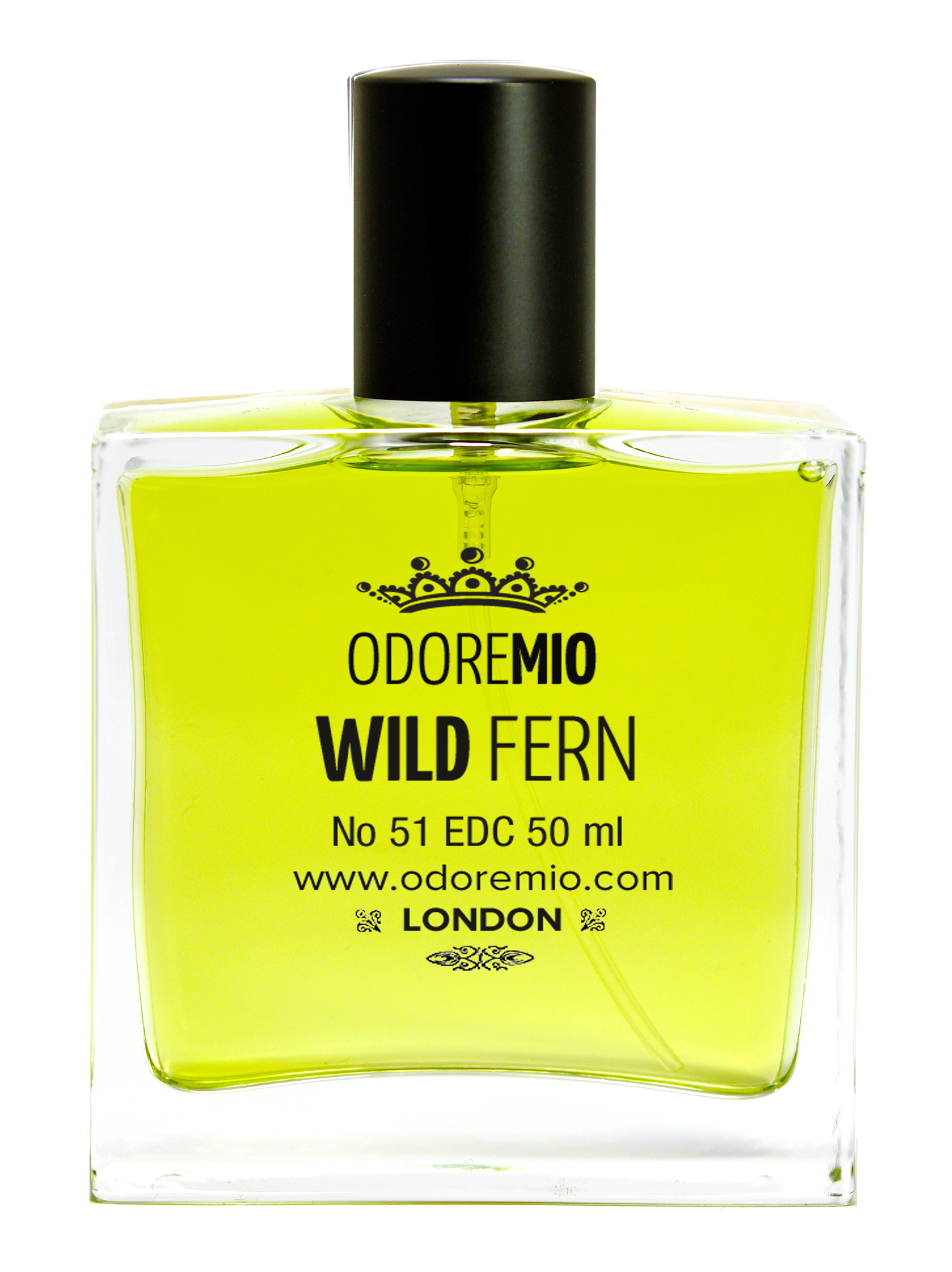 Wild Fern